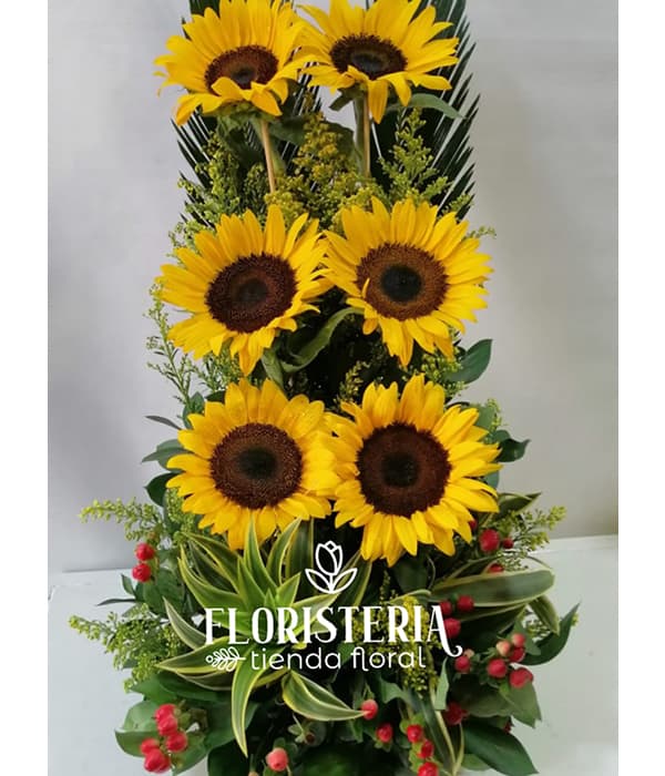 escala de girasol | Floristería | Tienda Floral | Detalles | Arreglos  Florales | Flores | Cúcuta